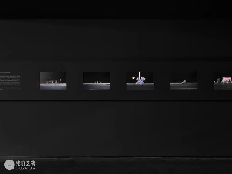 2025 首届上海国际当代影像节成功举办! 在「用影像发声的时代」,见证艺术与城市的深度共振 视频资讯 崇真艺客
